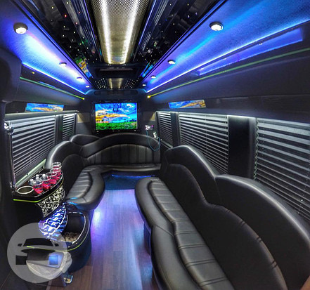 Mercedes Executive Limousine